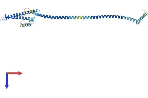 LZTFL1 Protein (AA 1-299) (His tag)