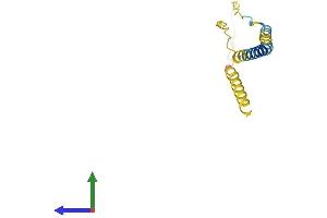 Protein Structure (PS) image for Brain Expressed, X-Linked 1 (BEX1) (AA 1-125) protein (His tag) (ABIN7552582)