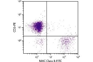 Chicken peripheral blood lymphocytes were stained with Mouse Anti-Chicken MHC Class II-FITC. (MHC Class II Antikörper  (FITC))