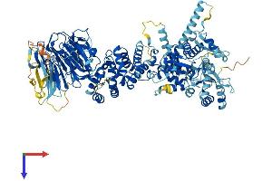 HERC6 Protein (AA 1-1022) (His tag)