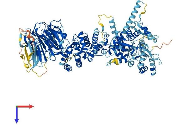 HERC6 Protein (AA 1-1022) (His tag)