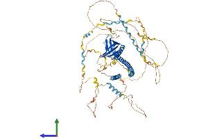 Protein Structure (PS) image for Enabled Homolog (ENAH) (AA 1-802) protein (His tag) (ABIN7563587)