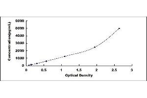 Typical standard curve (Endonuclease G ELISA Kit)