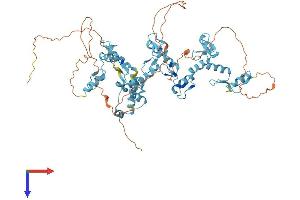 ZNF74 Protein (AA 1-644) (His tag)
