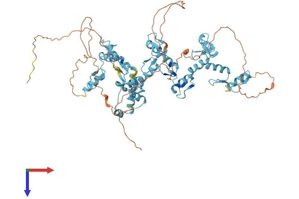 ZNF74 Protein (AA 1-644) (His tag)