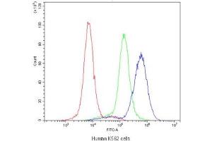 Flow Cytometry (FACS) image for anti-RAB27A, Member RAS Oncogene Family (RAB27A) antibody (ABIN5647255)