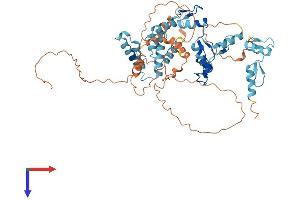 ZKSCAN4 Protein (AA 1-545) (His tag)