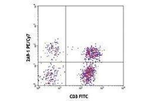 Flow Cytometry (FACS) image for anti-Chemokine (C-X3-C Motif) Receptor 1 (CX3CR1) antibody (PE-Cy7) (ABIN2659341) (CX3CR1 Antikörper  (PE-Cy7))