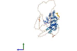 Protein Structure (PS) image for TAF6-Like RNA Polymerase II, P300/CBP-Associated Factor (PCAF)-Associated Factor, 65kDa (TAF6L) (AA 1-622) protein (His tag) (ABIN7544111)