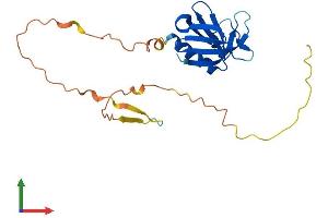 Protein Structure (PS) image for Pleckstrin Homology Domain Containing, Family B (Evectins) Member 2 (PLEKHB2) (AA 1-221) protein (His tag) (ABIN7561822)