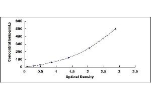 Typical standard curve (Netrin 4 ELISA Kit)