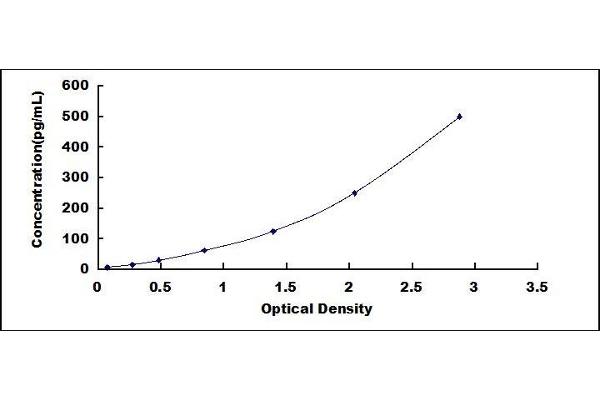 Netrin 4 ELISA Kit