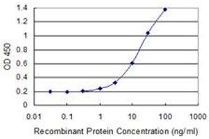 Detection limit for recombinant GST tagged PMS2 is 0. (PMS2 Antikörper  (AA 763-862))