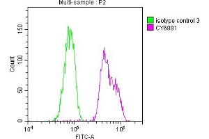 Overlay histogram showing Hela cells stained with ABIN7127374 (red line) at 1:50. (Rekombinanter BUB1B Antikörper)