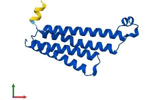 Protein Structure (PS) image for Prostaglandin E Synthase (PTGES) (AA 1-152) protein (His tag) (ABIN7551117)