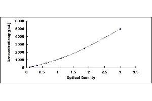 Typical standard curve (VGLL1 ELISA Kit)