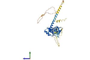 Protein Structure (PS) image for LIM Homeobox Transcription Factor 1, beta (LMX1B) (AA 1-395) protein (His tag) (ABIN7562639)