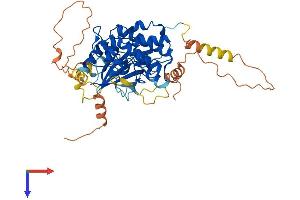 MAP3K8 Protein (AA 1-467) (His tag)