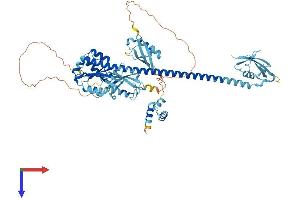 FAF1 Protein (AA 1-650) (His tag)