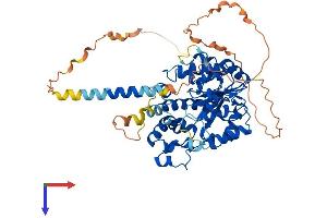 CHST2 Protein (AA 1-530) (His tag)