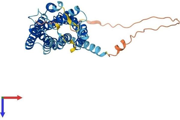 GPR4 Protein (AA 1-362) (His tag)