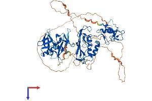 DTX2 Protein (AA 1-622) (His tag)