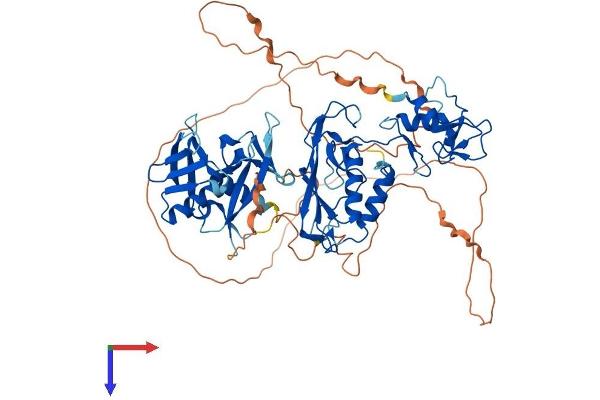 DTX2 Protein (AA 1-622) (His tag)