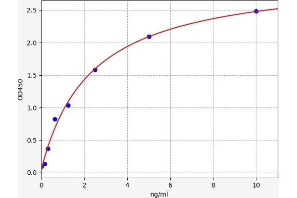 Angiotensin II Type-1 Receptor ELISA Kit