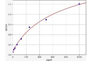 Orexin ELISA Kit