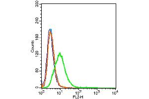 293T cells probed with CD59 Polyclonal Antibody, unconjugated  at 1:100 dilution for 30 minutes compared to control cells (blue) and isotype control (orange)