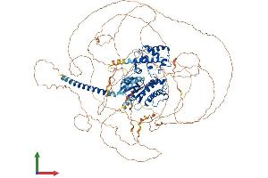 Protein Structure (PS) image for GNAS Complex Locus (GNAS) (AA 1-1133) protein (His tag) (ABIN7564142)