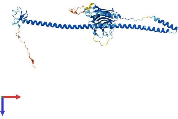 TRIM14 Protein (AA 1-442) (His tag)