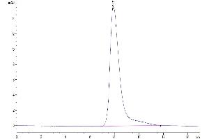 Size-exclusion chromatography-High Pressure Liquid Chromatography (SEC-HPLC) image for Tumor Necrosis Factor Receptor Superfamily, Member 10a (TNFRSF10A) (AA 34-239) protein (His-Avi Tag) (ABIN7275777)