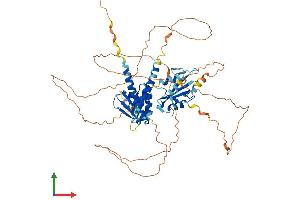 Protein Structure (PS) image for SH2B Adaptor Protein 2 (SH2B2) (AA 1-621) protein (His tag) (ABIN7565086)