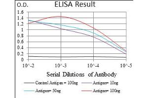 Fig. (Epsin 1 Antikörper  (AA 106-254))