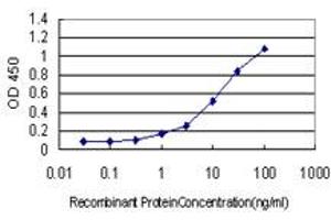 Detection limit for recombinant GST tagged LGMN is approximately 0. (LGMN Antikörper  (AA 1-433))