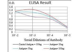 Black line: Control Antigen (100 ng), Purple line: Antigen(10 ng), Blue line: Antigen (50 ng), Red line: Antigen (100 ng), (ABCB1 Antikörper  (AA 632-693))