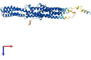 TTYH1 Protein (AA 1-450) (His tag)