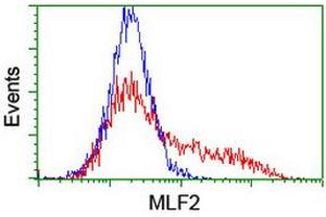 Flow Cytometry (FACS) image for anti-Myeloid Leukemia Factor 2 (MLF2) antibody (ABIN1499501) (MLF2 Antikörper)