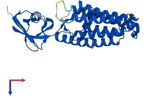TECR Protein (AA 1-308) (His tag)