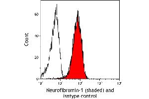 Flow Cytometry (FACS) image for anti-Neurofibromin 1 (NF1) (C-Term) antibody (ABIN7795775) (Rekombinanter Neurofibromin 1 Antikörper  (C-Term))