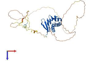 TOB2 Protein (AA 1-344) (His tag)