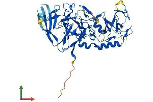 Protein Structure (PS) image for Pellino E3 Ubiquitin Protein Ligase 1 (PELI1) (AA 1-418) protein (His tag) (ABIN7559167)