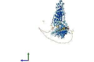 AlphaFold protein structure predicition of Mouse Recombinant Tnks2 Protein, UniprotID Q3UES3