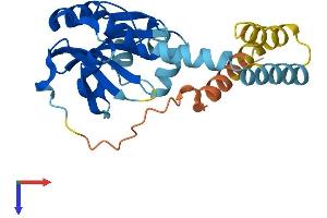 LRAT Protein (AA 1-231) (His tag)