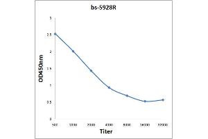 Antigen: 0. (Basc4 (AA 100-211) Antikörper)