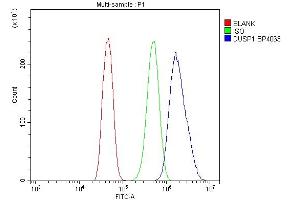 Flow Cytometry analysis of CACO-2 cells using anti-MKP-1/DUSP1 antibody (ABIN7603184). (DUSP1 Antikörper  (N-Term))