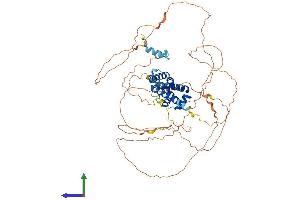Protein Structure (PS) image for HNF1 Homeobox A (HNF1A) (AA 1-631) protein (His tag) (ABIN7548386)