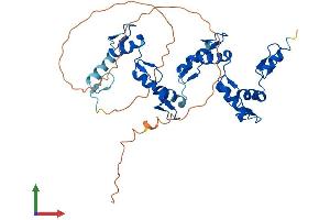 AlphaFold protein structure predicition of Human Recombinant ZNF696 Protein, UniprotID Q9H7X3