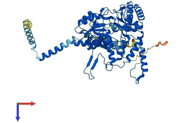 SGPL1 Protein (AA 1-568) (His tag)